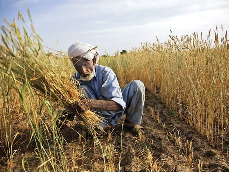 خیبرپختونخوا حکومت کا زرعی انکم ٹیکس کے نفاذ کا فیصلہ