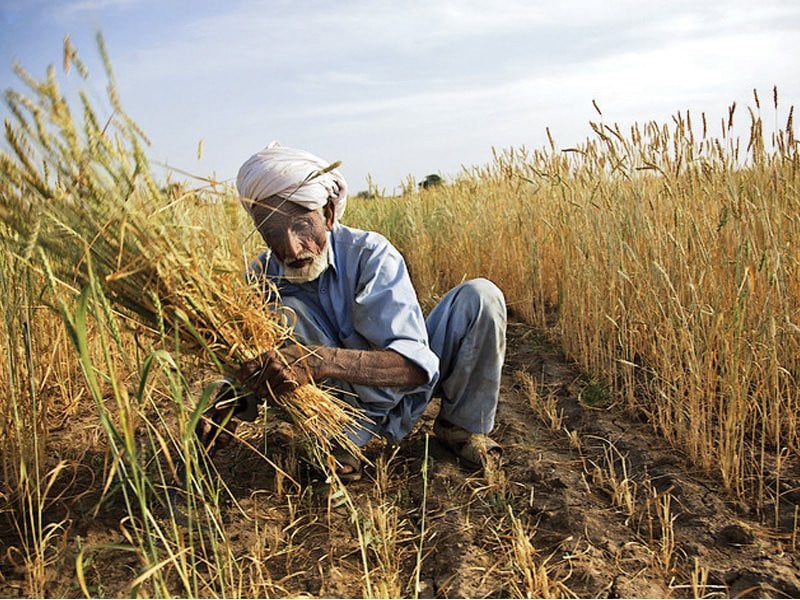 خیبرپختونخوا حکومت کا زرعی انکم ٹیکس کے نفاذ کا فیصلہ