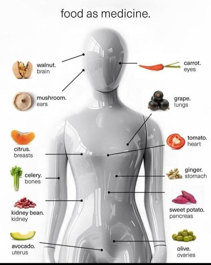 Some Foods for body organs