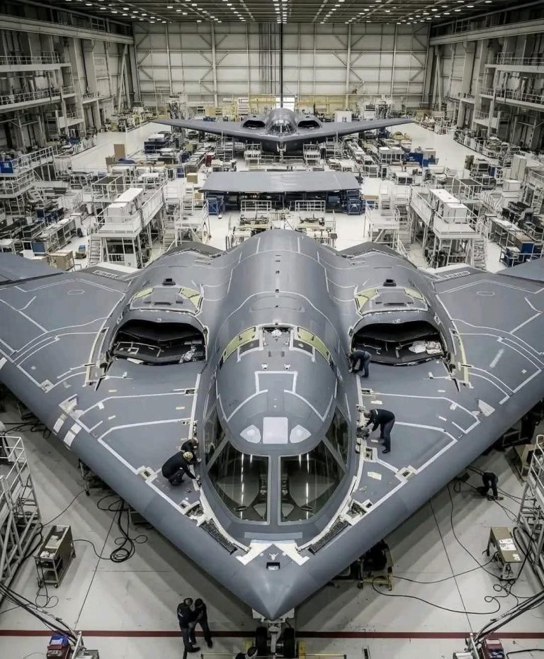 B2