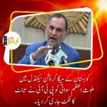 Senate ticket for Azam Swati