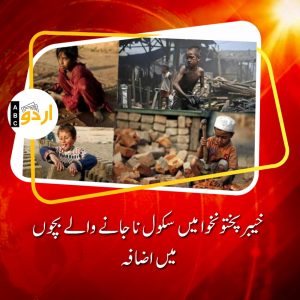 Increase number of out of school children in KP