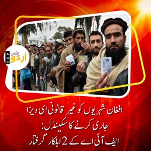 Fake visa scandal