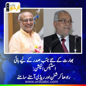vice president election