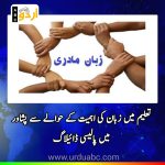 Importance of mother language