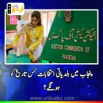 Meeting for Local government elections in Punjab