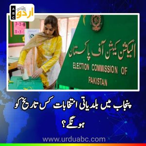 Meeting for Local government elections in Punjab