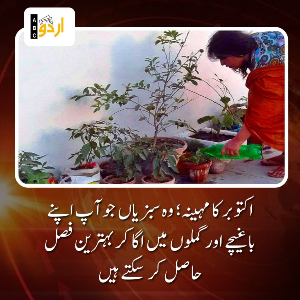 Kitchen gardening
