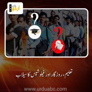 Cultural exchange program