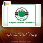 PEF jobs