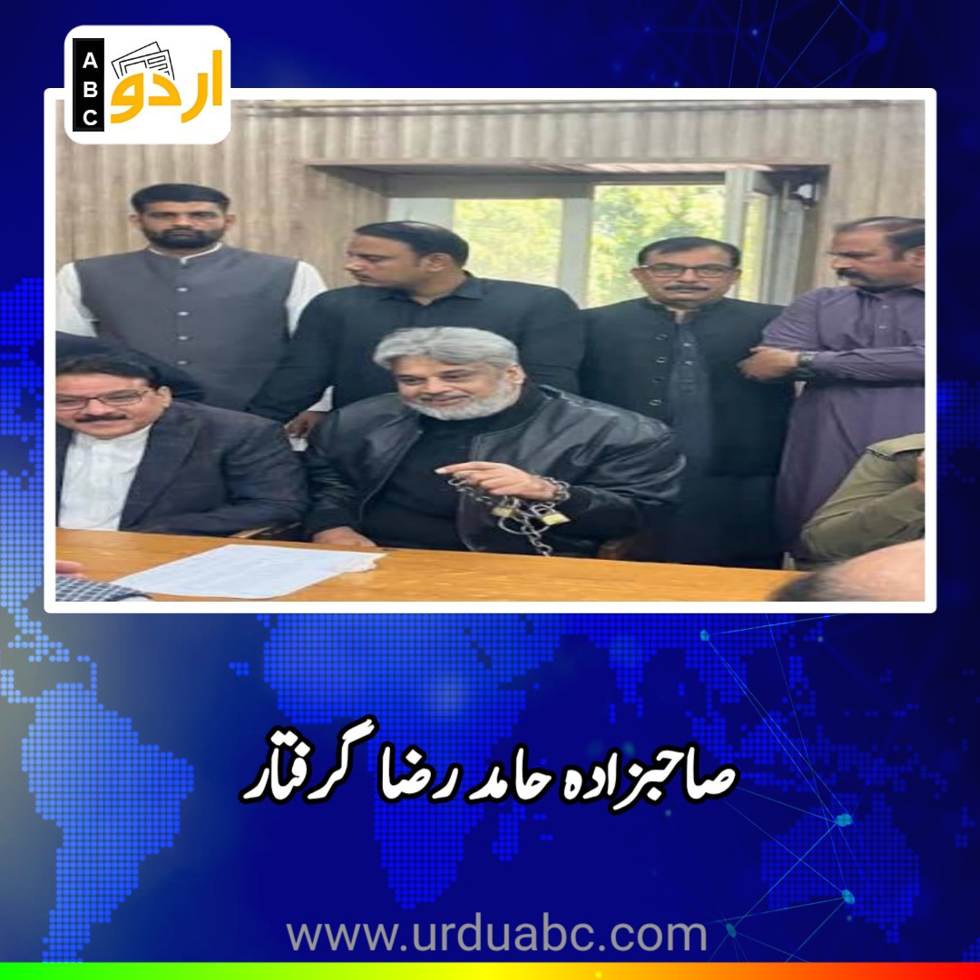 hamid raza