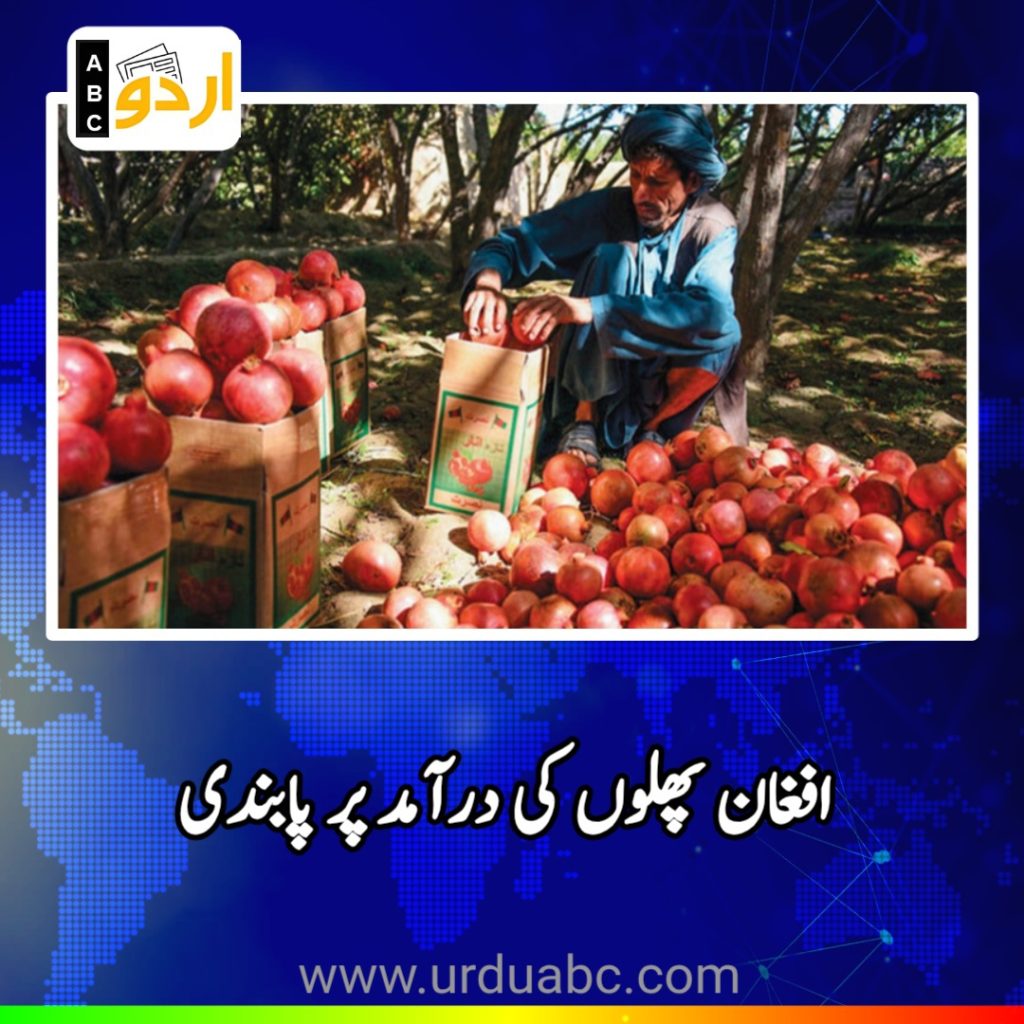 Ban on Afghan fruits