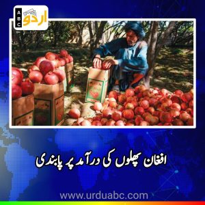 Ban on Afghan fruits