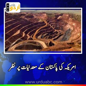 American company eye on Pakistani rare minerals