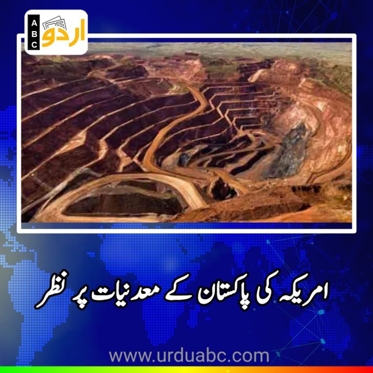 American company eye on Pakistani rare minerals