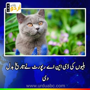 DNA report of cats change the history