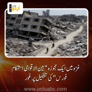 Ministerial Meeting on Gaza in Turkey