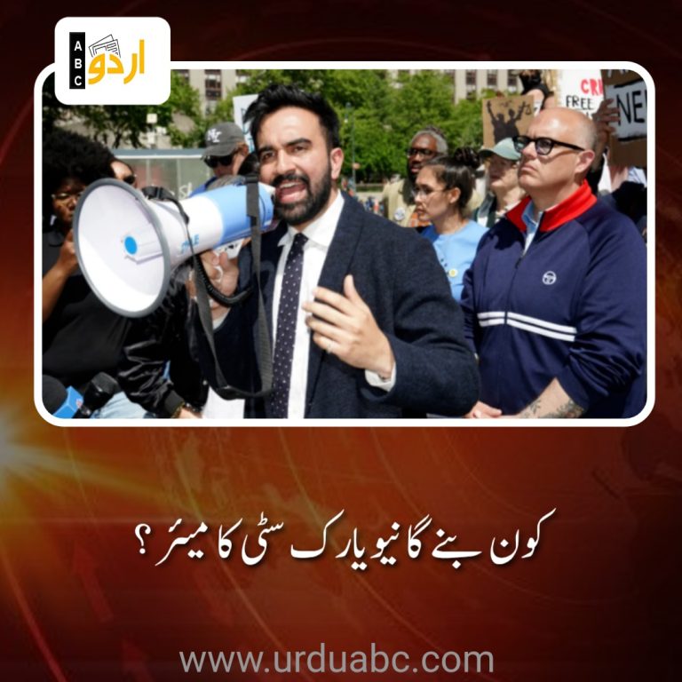 Positions of New York city candidates