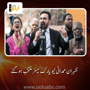 nyc mayoral elections