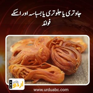 Advantages of jawatri