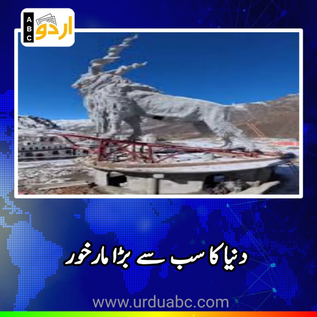 World Biggest Markhor
