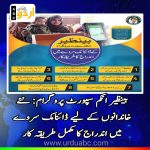 BISP dynamic survey