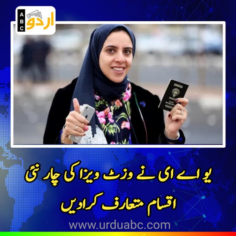 UAE introduce 4 new visa category