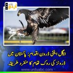 Eagle anti-drone initiative