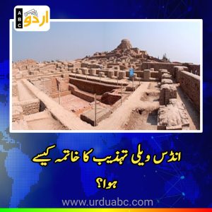 Why indus valley civilization collapse