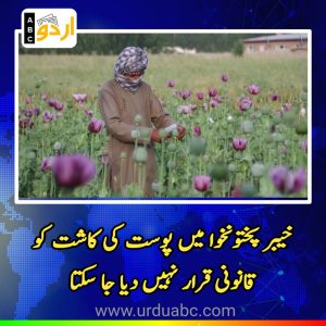 Poppy cultivation cannot legalized