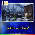 Snowfall at Galliyat