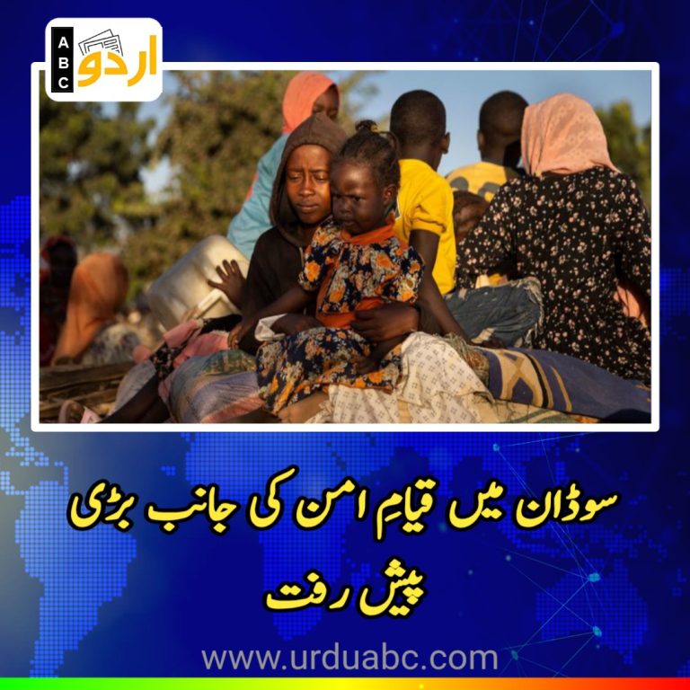 Arab league Welcome Sudanese peace plan