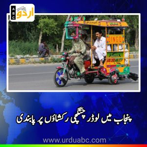Punjab banned loaders