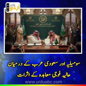 Saudi Arabia and Somalia deals