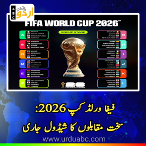 Fifa world cup groups