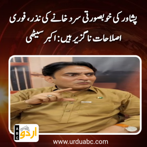 پشاور کی خوبصورتی سرد خانے کی نذر، فوری اصلاحات ناگزیر ہیں: اکبر سیٹھی