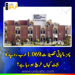 Pims budget allocation