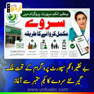بے نظیر انکم سپورٹ پروگرام کے تحت ملک گیر نئے سروے کا یکم ستمبر سے آغاز: نادرا اور بی آئی ایس پی کی تیاریاں آخری مراحل میں داخل