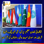 25th session of sco begins today
