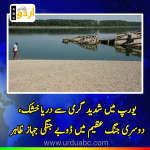 Summer exposed drone ships