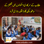 Kitchen gardening training in Punjab schools