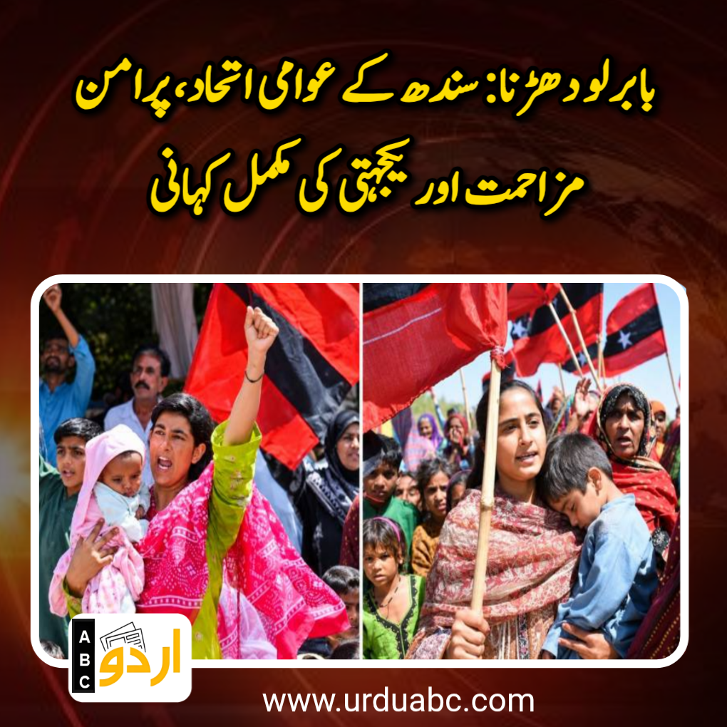 Spirit Of Sindh Rose In Peaceful Protest