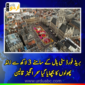 بریڈ فورڈ سٹی ہال کے سامنے 3 لاکھ سے زائد پھولوں کا بچھایا گیا سحر انگیز قالین: برطانیہ میں عوامی فن کاری کی نئی مثال