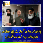 Modi-Taliban Nexus’ Behind Terrorism in Pakistan