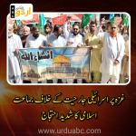 JI organized protest at jacobabad