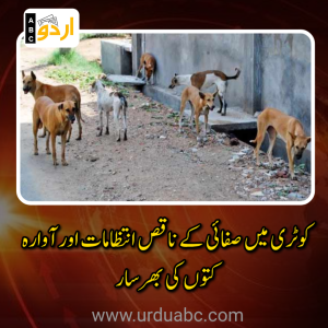 کوٹری میں صفائی کے ناقص انتظامات اور آوارہ کتوں کی بھرسار: ملیریا کے پھیلاؤ کا خدشہ اور ستمبر میں رے بیز کے 255 کیسز پر شہریوں کا احتجاج