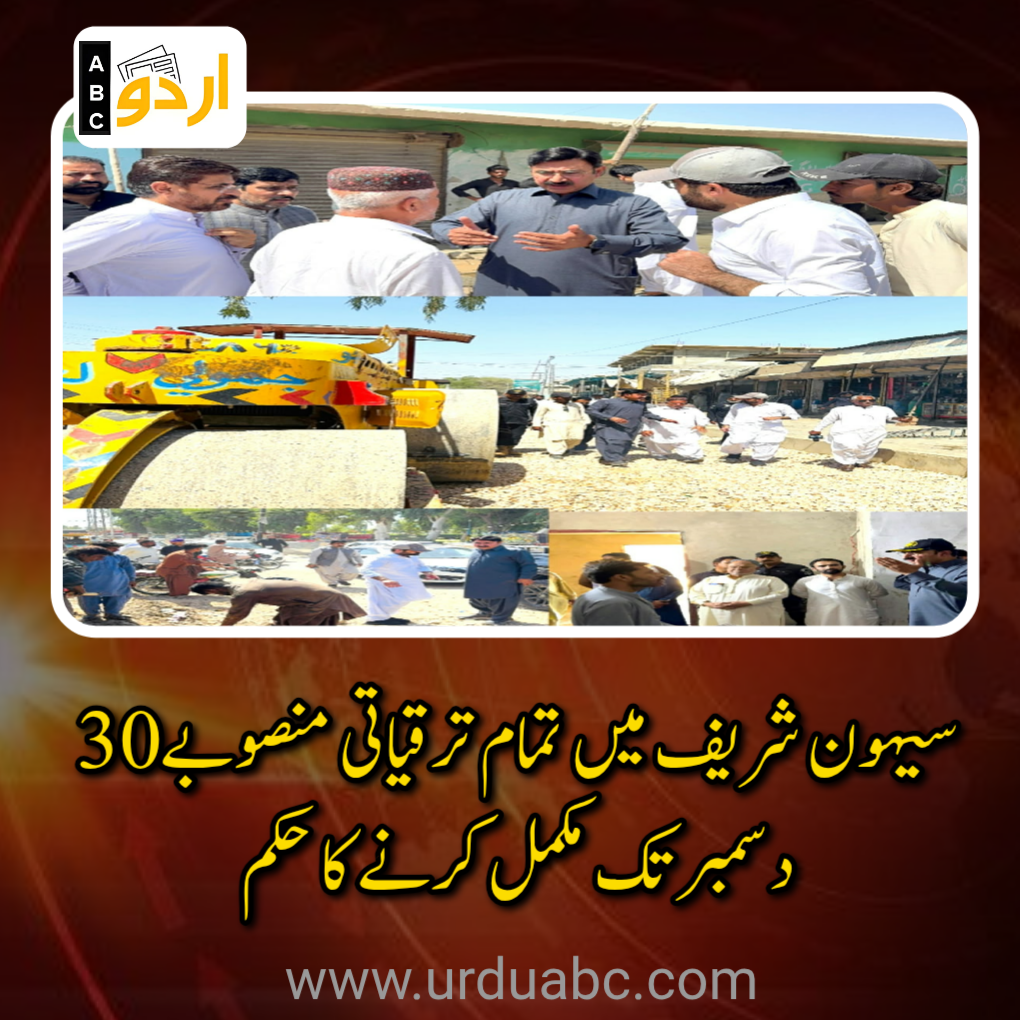 Deputy Commissioner ordered to complete all projects