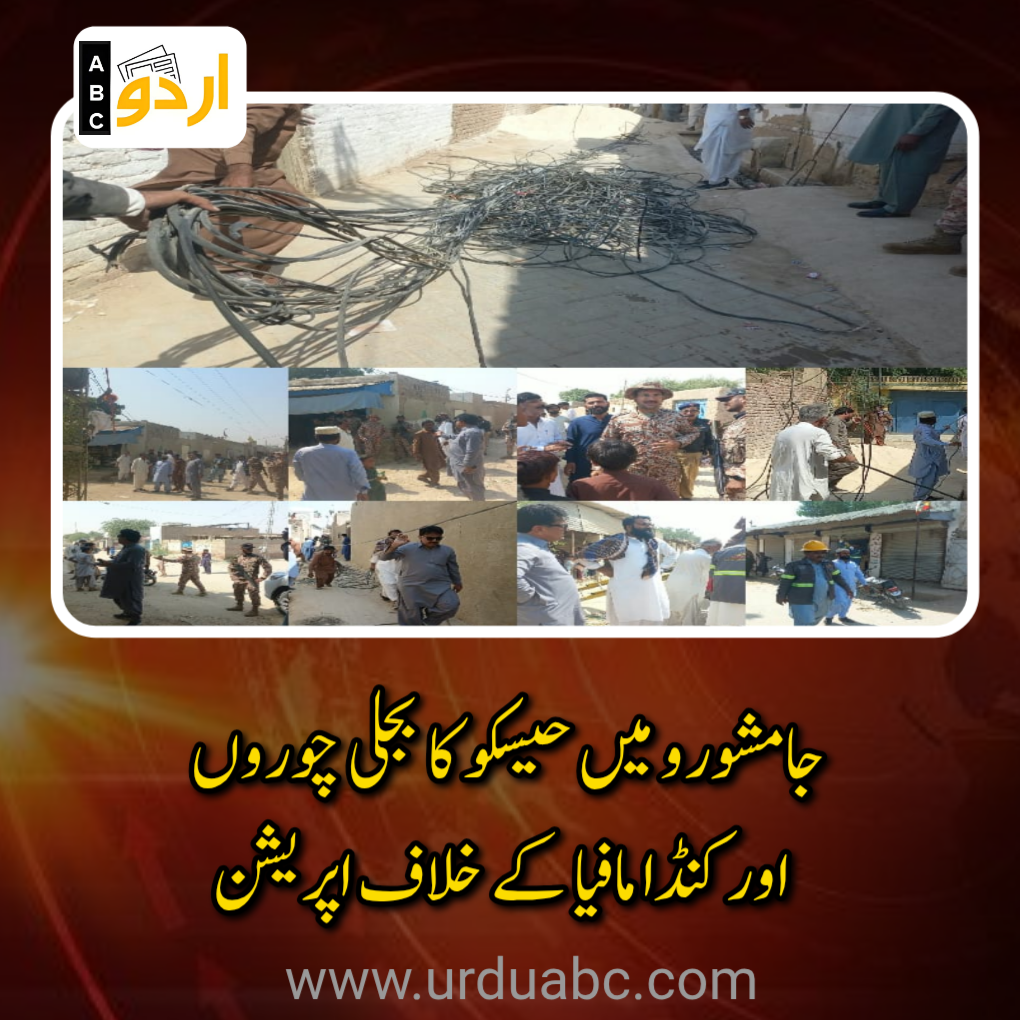 Action against electricity theft