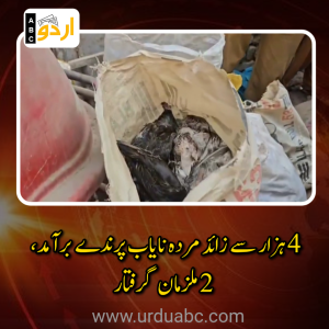 بھان سید آباد میں پولیس کی بڑی کارروائی: گودام سے 4 ہزار سے زائد مردہ نایاب پرندے برآمد، 2 ملزمان گرفتار