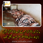 50 kg fish discarded